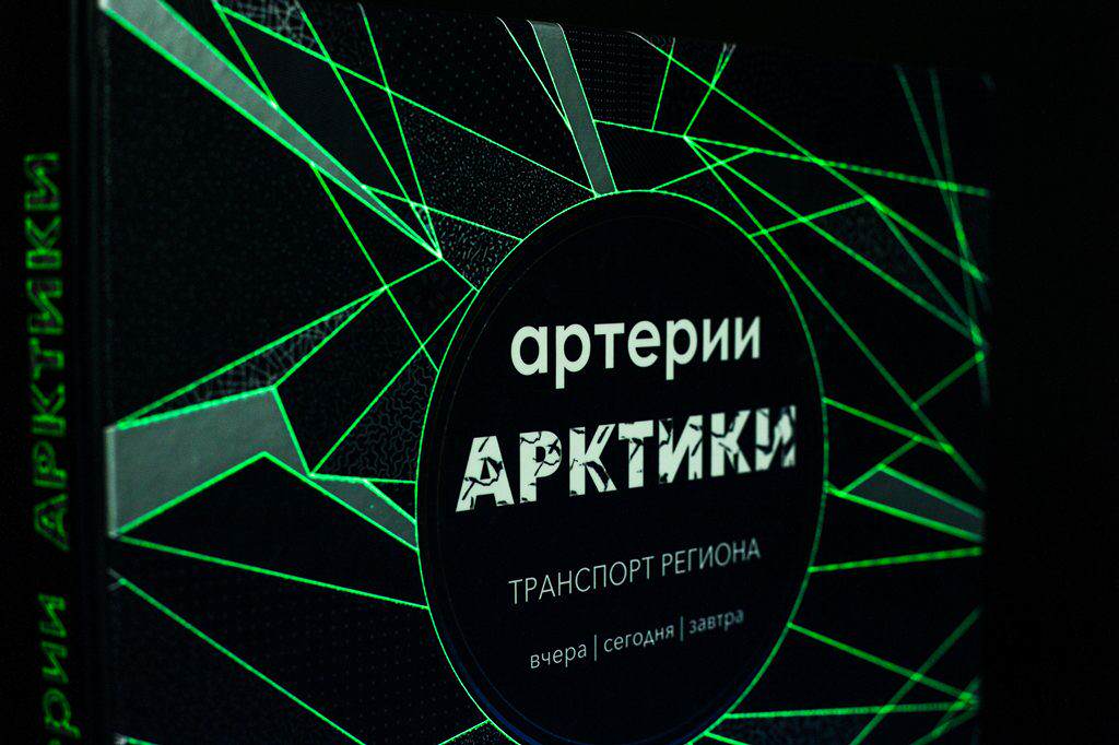 Обложка книги Артерии Арктики светятся в темноте